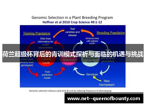 荷兰超级杯背后的青训模式探析与面临的机遇与挑战